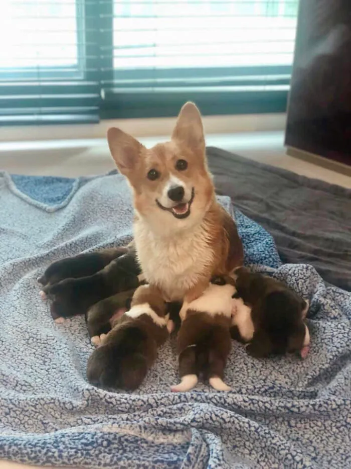 Aunque fue un embarazo sorpresa, es una madre orgullosa