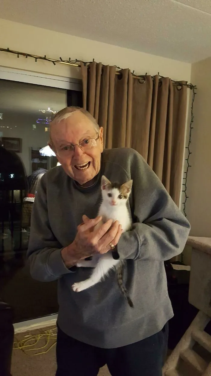 La gata de mi abuelo falleció a principios de diciembre. Estaba destrozado y no quería reemplazarla insensiblemente, pero se sentía tan solo
