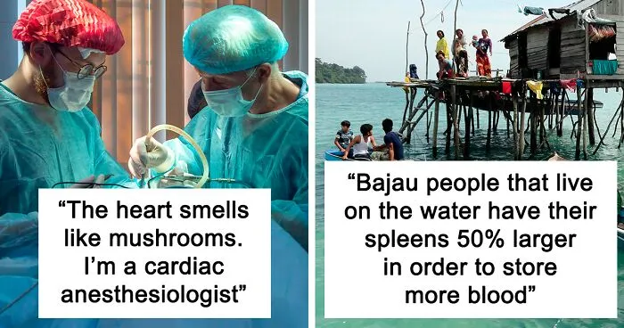 “What Is A Fact About The Human Body That Not Many People Know About?” (50 Answers)