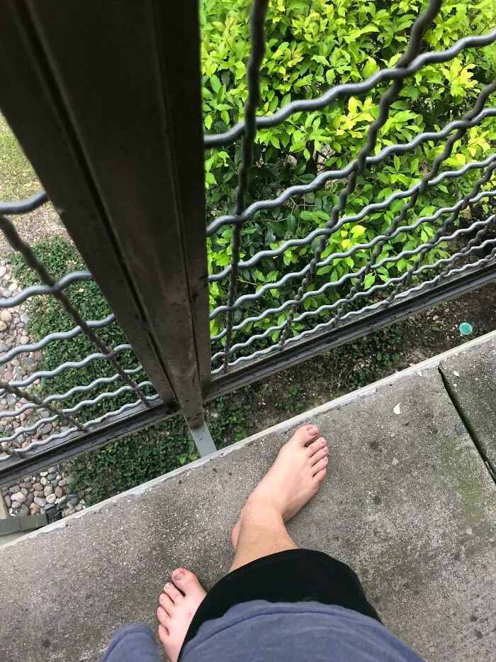 Dios te libre de tener un bebé o un perrito