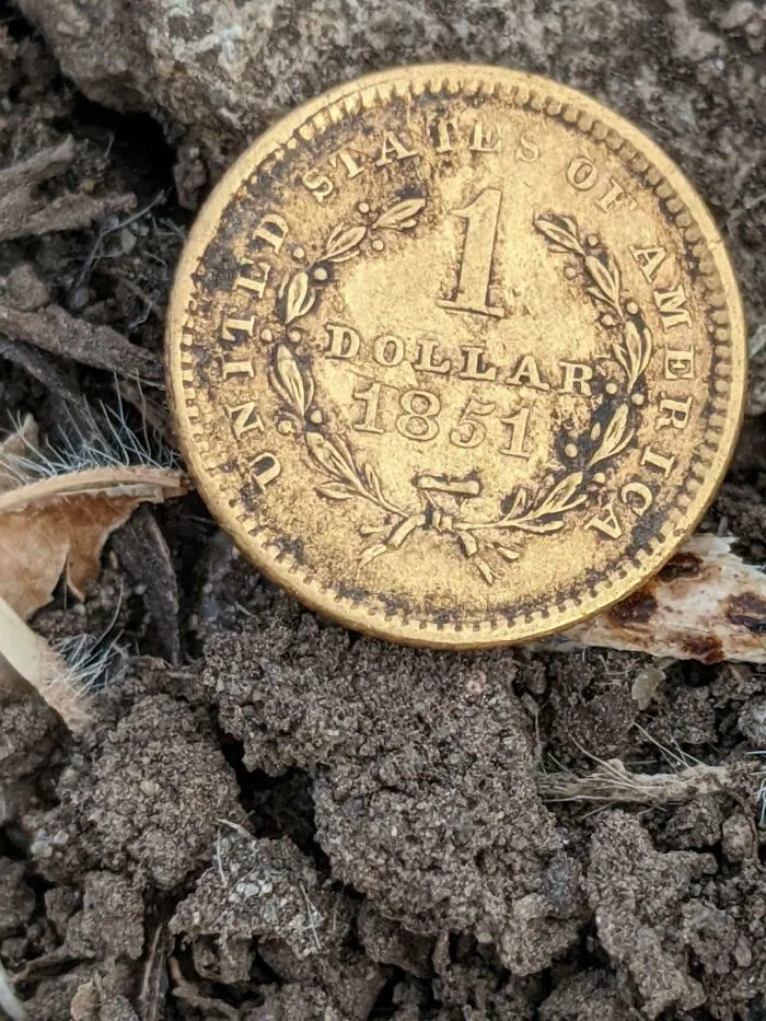 Mi amigo encontró esto y se puso a bailar