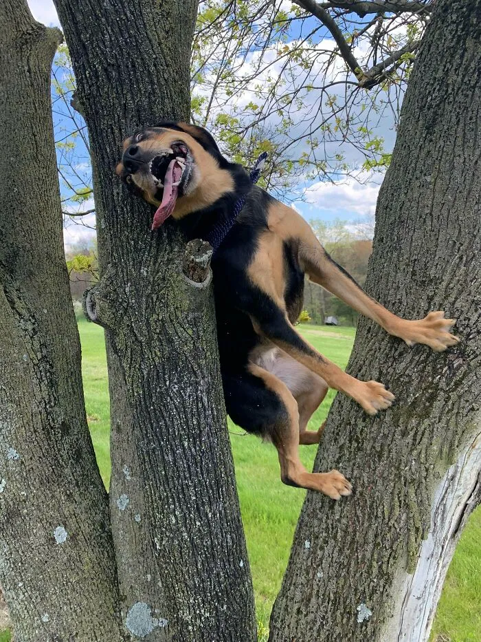 Thought We Were Going For A Walk, Ending Up Going For A Climb