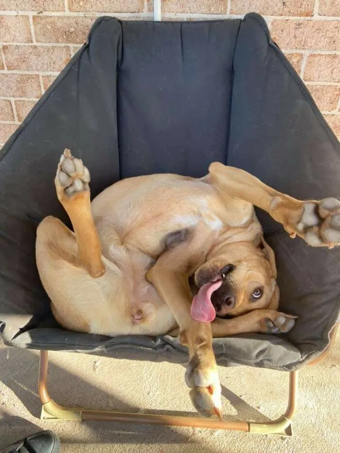 Derp