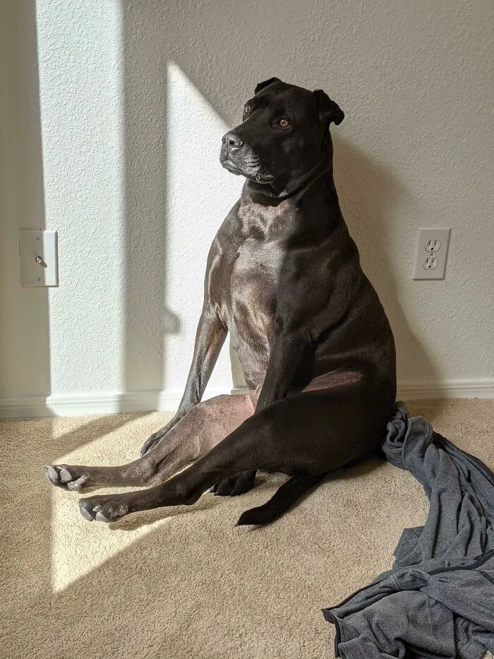 Lou's Got A Lot On His Mind