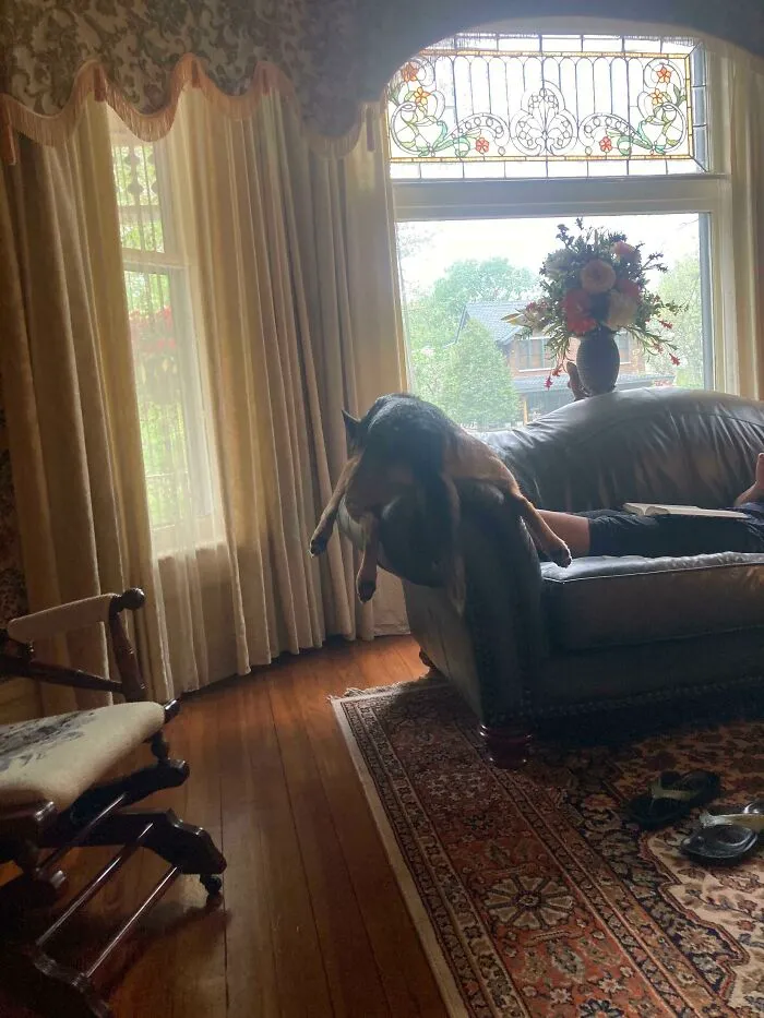 How He Sits On The Couch