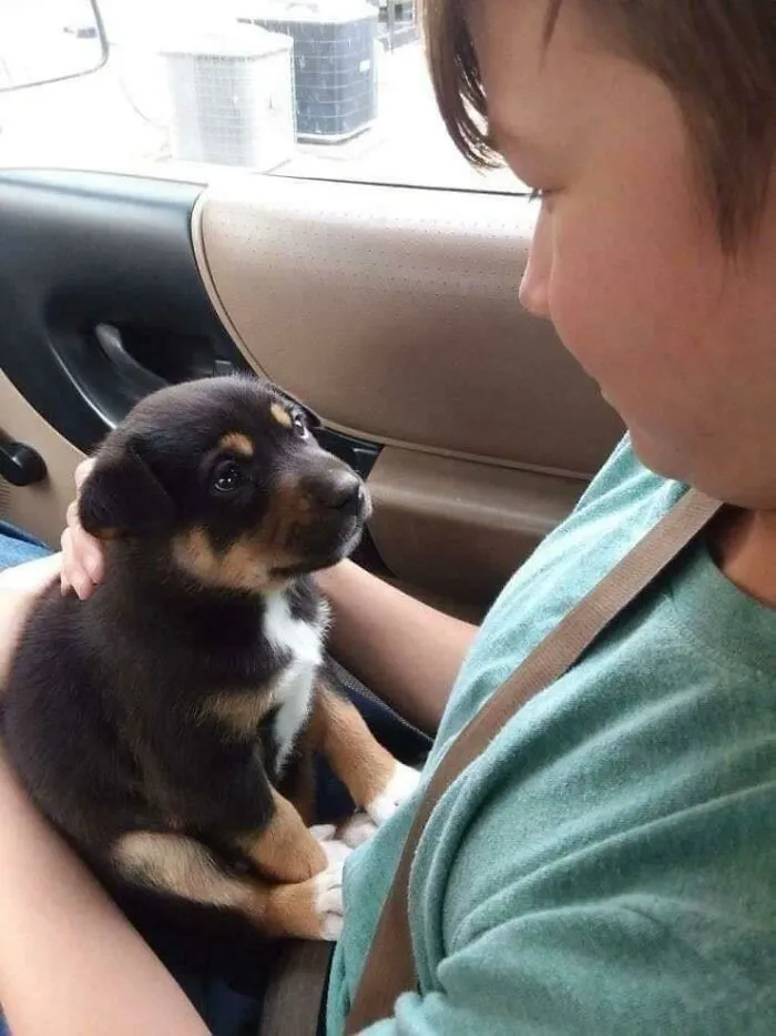 Esa mirada cuando te encuentras con tu mejor amigo