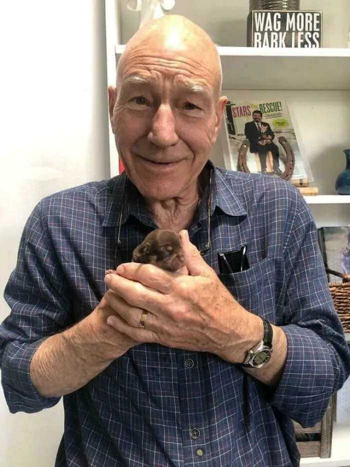 Sir Patrick Stewart y un cachorro de una semana ❤️