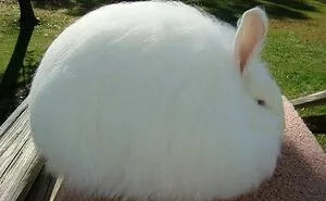 50 Times People Spotted The Cutest Animals And Just Had To Take A Pic Of Them