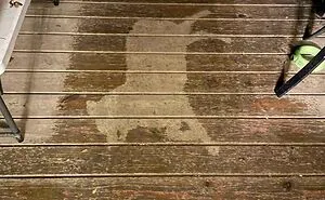 This Online Group Is Dedicated To 'Mildly Interesting' Stuff, And Here Are Their 50 Best Posts (New Pics)