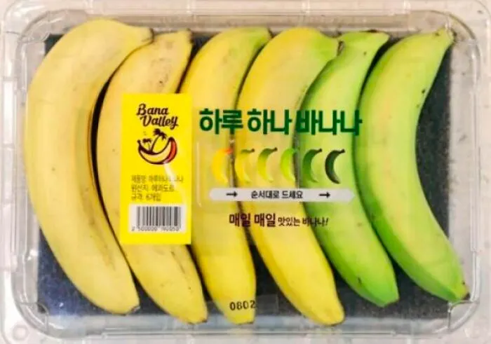 El paquete "Un plátano al día", que contiene varios plátanos de diferente madurez para poder comerlos durante varios días. (Corea)