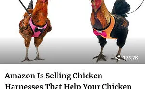 50 Things That Made People Say “Of Course That's A Thing”