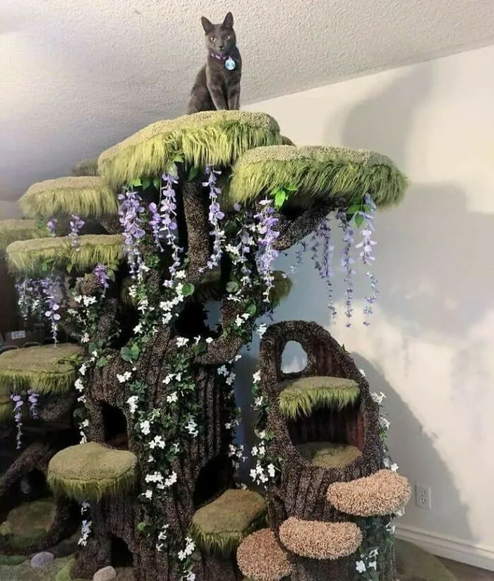 El árbol del gato, edición Deluxe