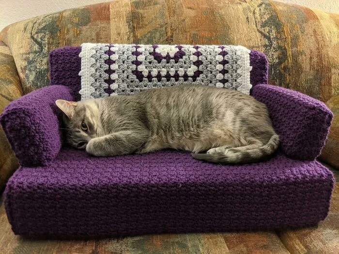  Mi mamá tejió un sofá para mis gatos