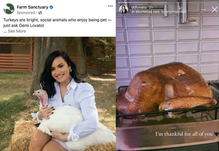 I’m Thankful For The Internet