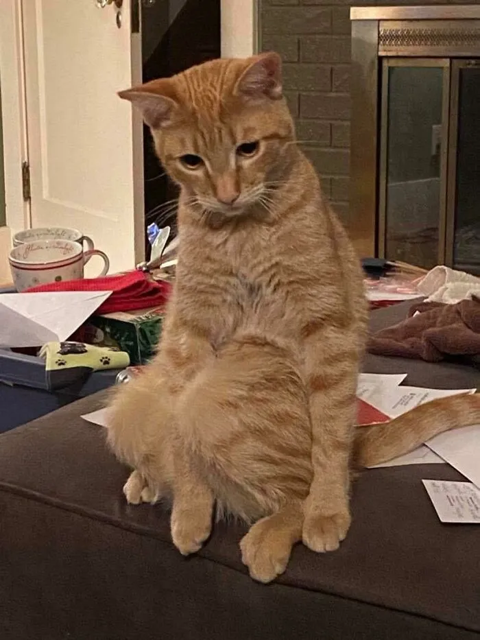 Jasper Likes To Show Off His Knees