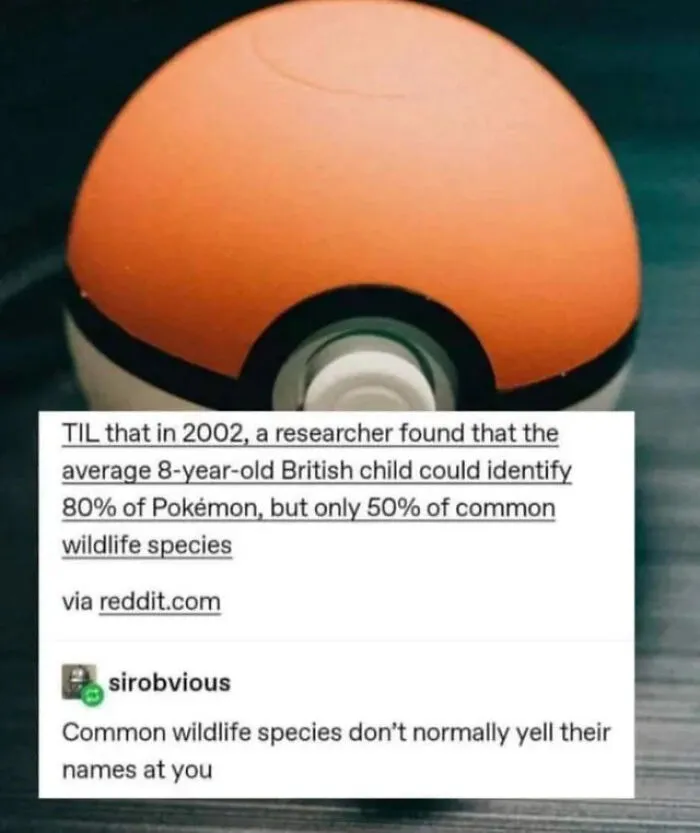 I Choose You, Bunny!!!!