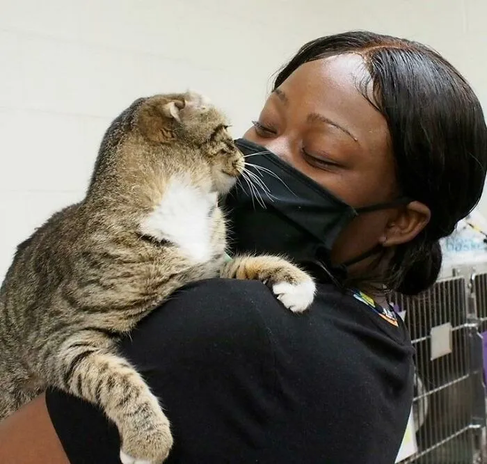 I Adopted My First Cat!
