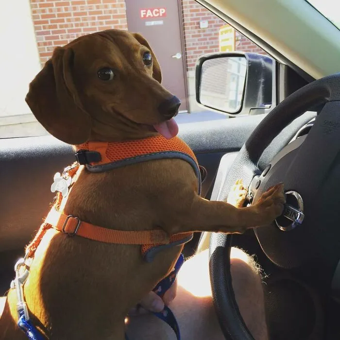 ¡Tu Uber está aquí! 