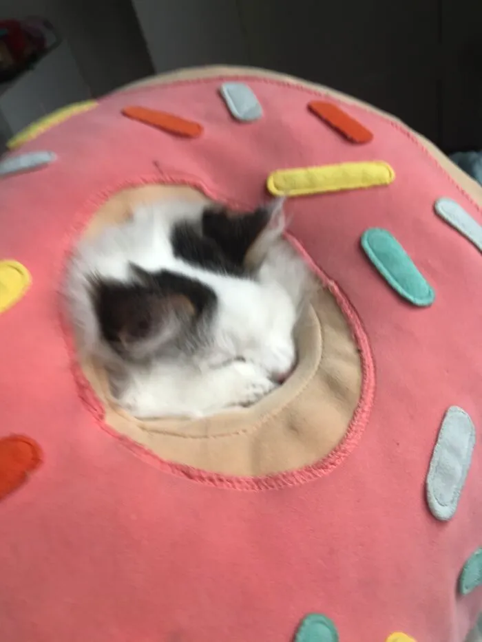 Mah Cat Alba