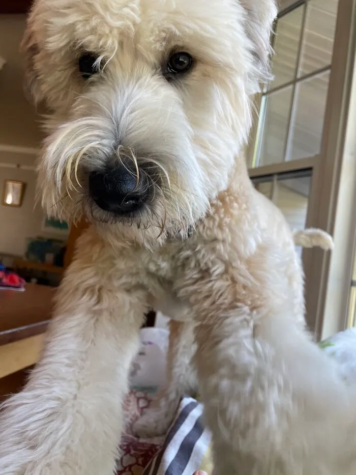 My Little Fuzzy Bug Steadying The Camera