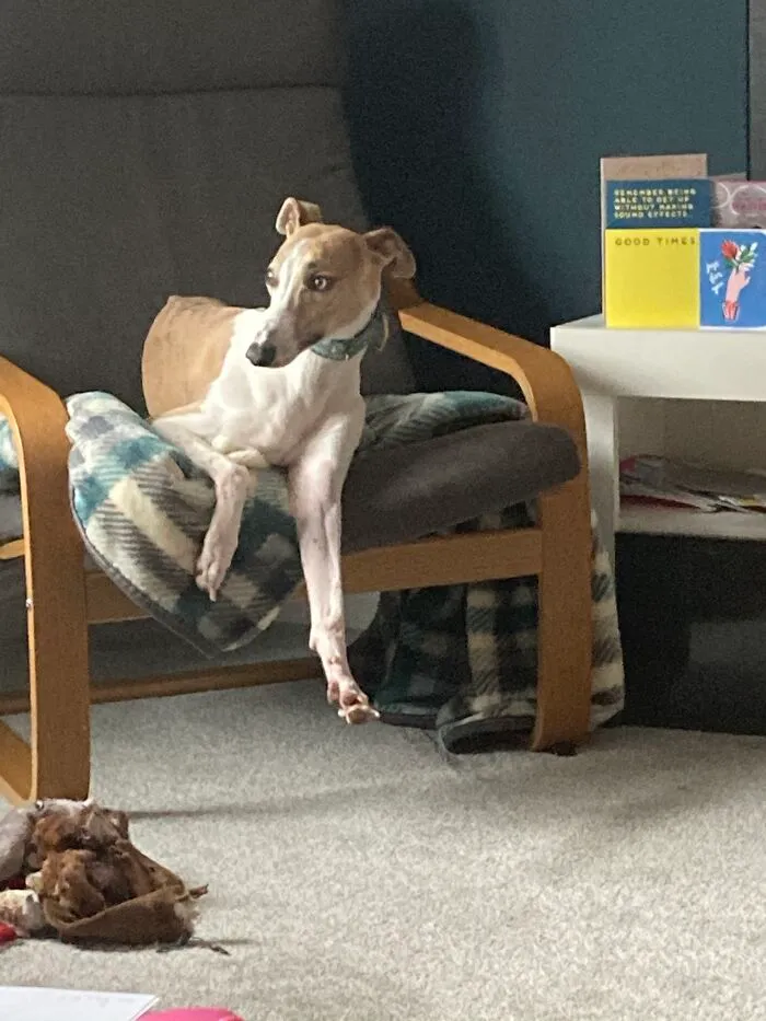 His Legs And Face