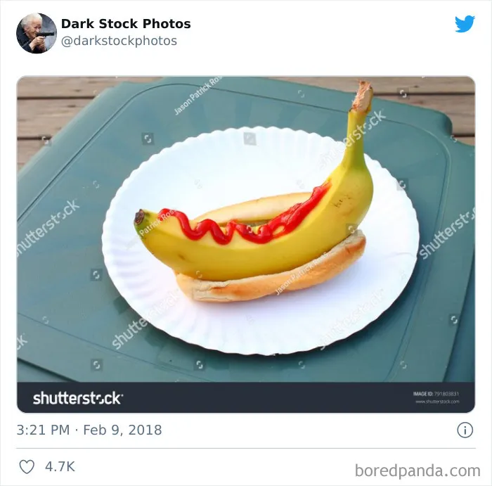 Esta cuenta de Twitter está totalmente dedicada a las fotos de catálogo más raras, y aquí tienes 30 de las más divertidas