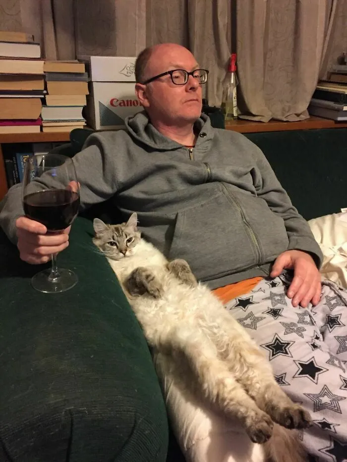 Catflix And Chill