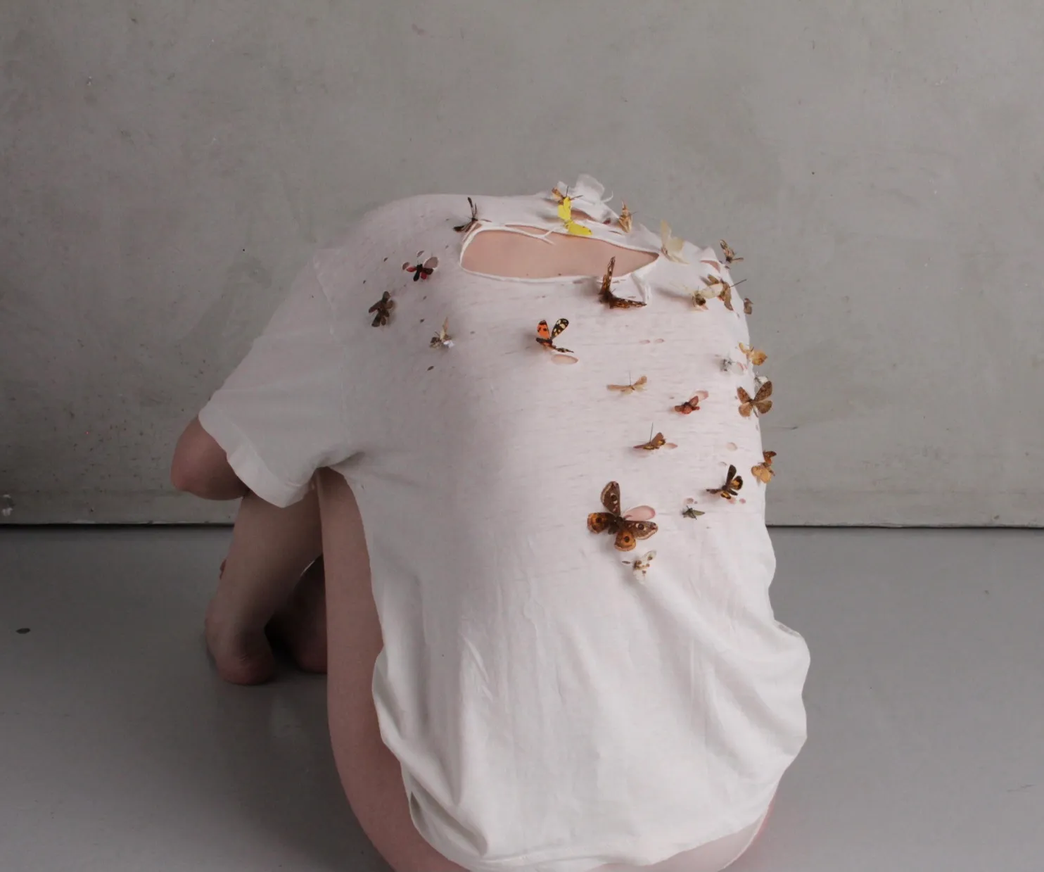 For My Father/ Moths