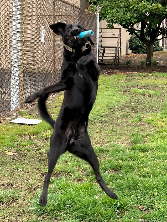 Dance!
