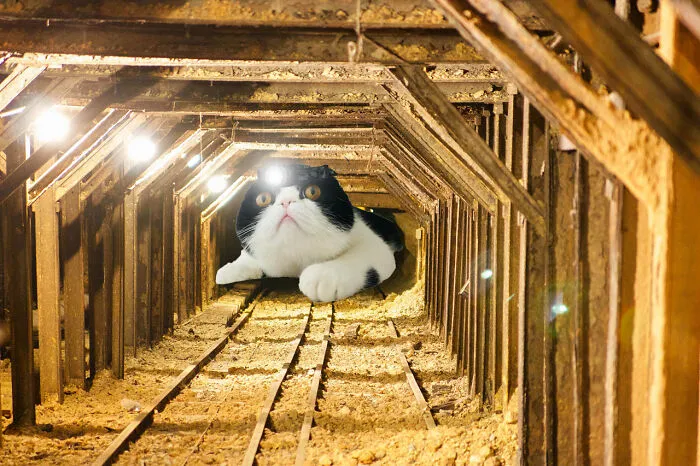 What They See