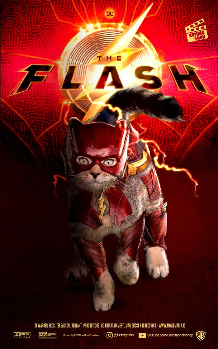 The Flash