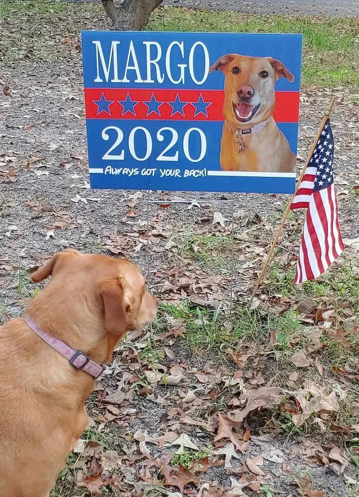 Vote For Margo!