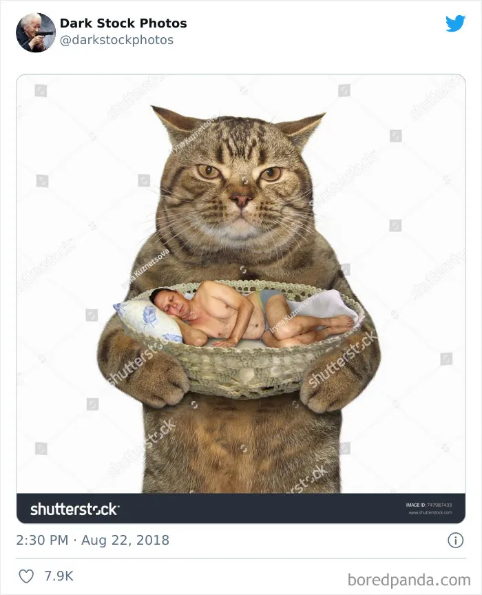 There's A Twitter Page Entirely Dedicated To The Dark Side Of Stock Photography And Here Are 30 Of The Funniest Ones