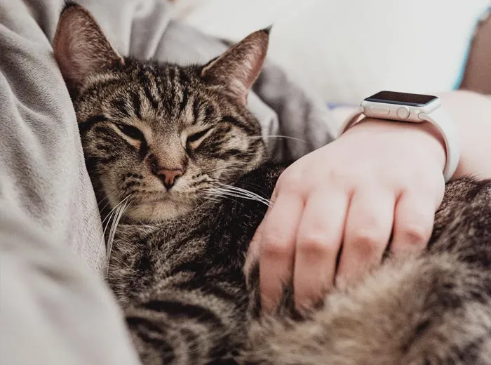 30 Actos increíblemente amables que las mascotas hicieron por sus dueños y que demuestran que el amor de una mascota no tiene límites