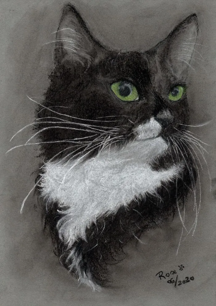 The Oldest Of My Furry Children, Charcoal