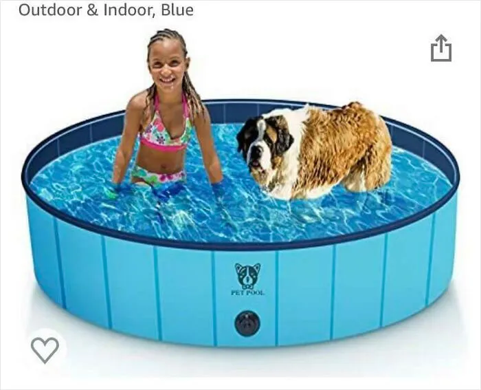 Can’t Decide If This Pool Is For Giant Children Or Miniature St. Bernards