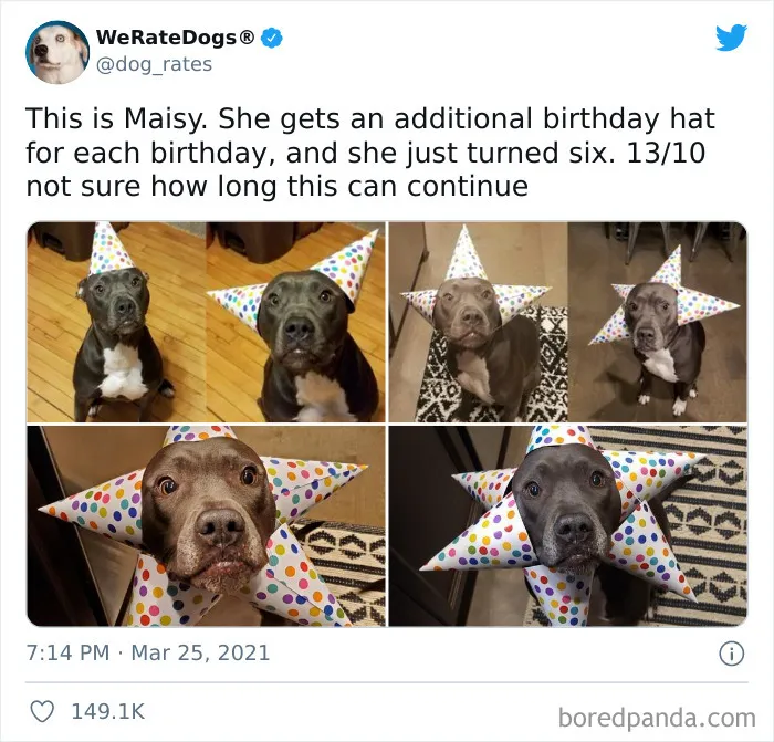 This Twitter Account Rates People's Dogs And It's Hilarious (50 New Pics)