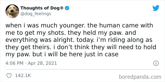 40 Of The Most Hilarious And Wholesome Dog Thoughts, As Shared By This Twitter Account (New Pics)