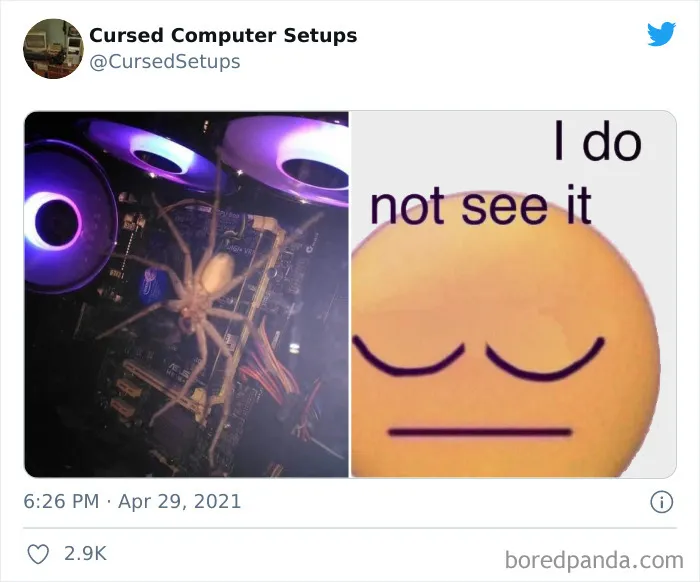 Cursed-Computer-Setups