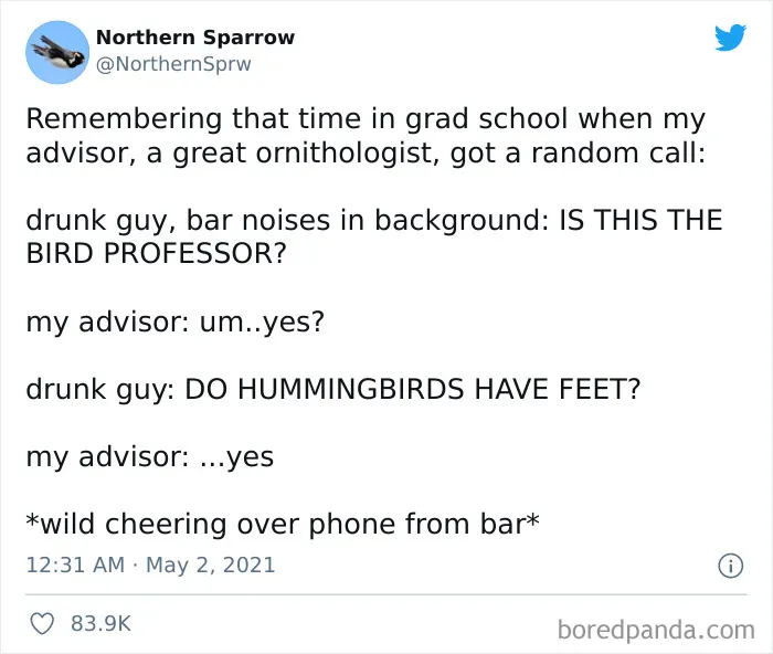 Bird Professor