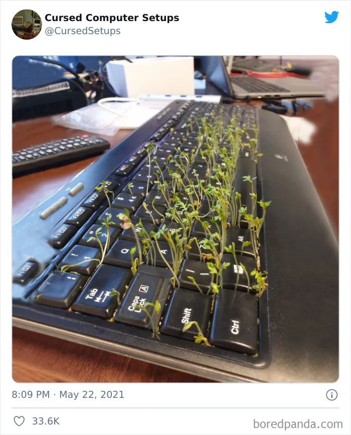 30 Times People Had Such Terrible Computer Setups, They Could Only Be Described As 'Cursed', As Shared By This Twitter Account