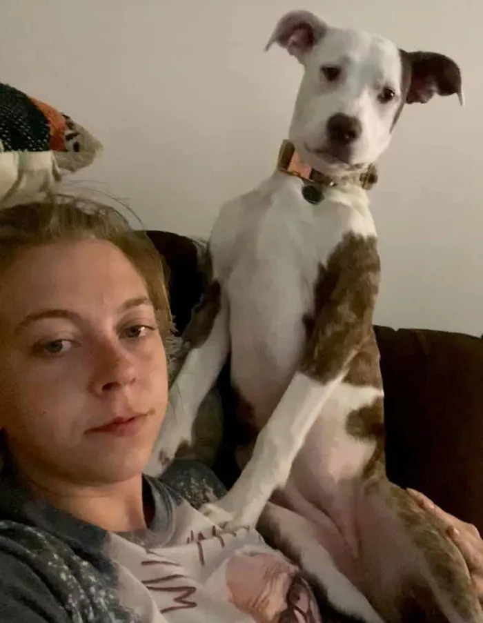 50 Moments Of Dogs Malfunctioning And Their Humans Failing To Resist The Urge To Document It For The #UnflatteringDogPhotoChallenge (New Pics)