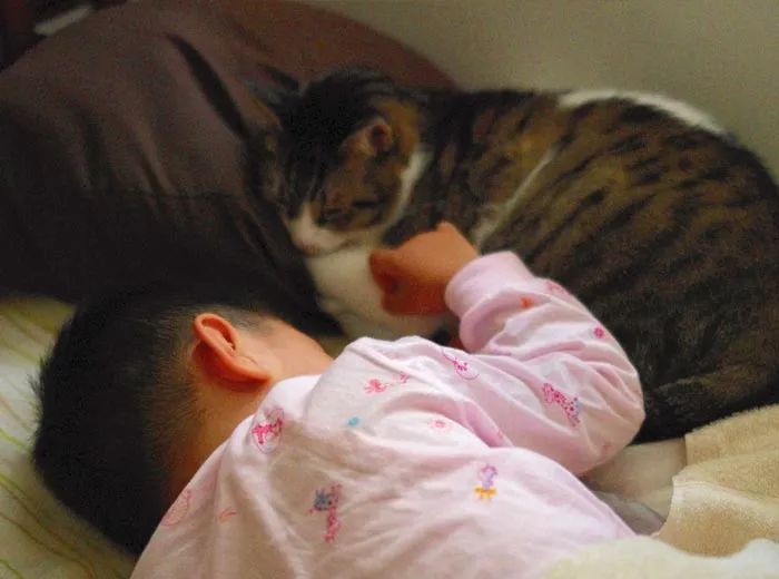 30 Incredibly Kind Acts Pets Did For Their Owners That Prove A Pet's Love Has No Limits