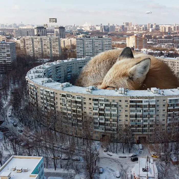 30 Unexpected Photo Manipulations Of Russian Streets Filled With Gigantic Animals By Vadim Solovyev (New Pics)