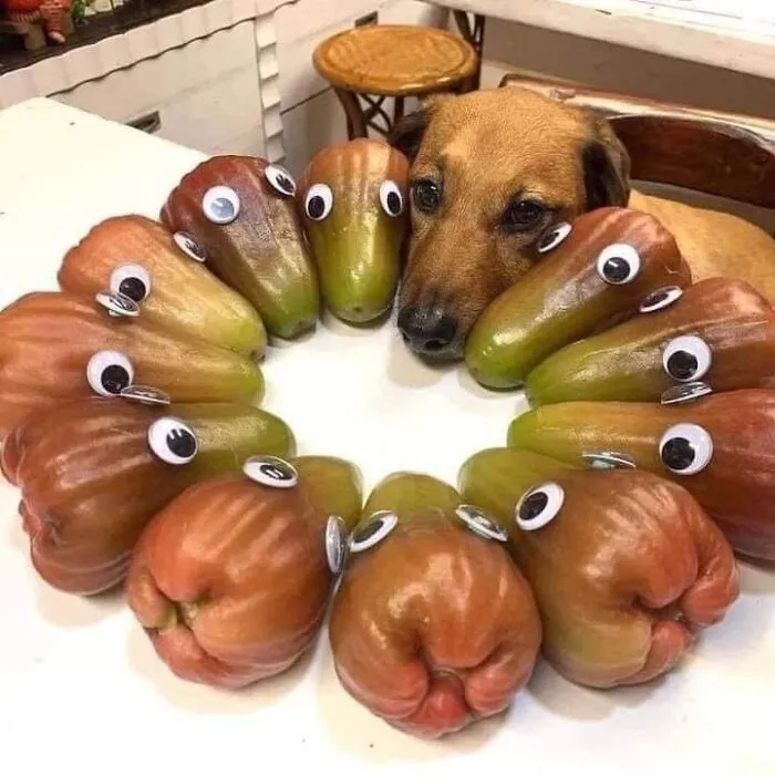 50 "Important Animal Images" To Put A Smile On Your Face (New Pics)