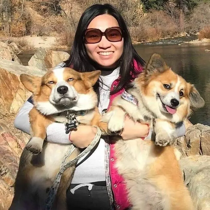50 "Important Animal Images" To Put A Smile On Your Face (New Pics)