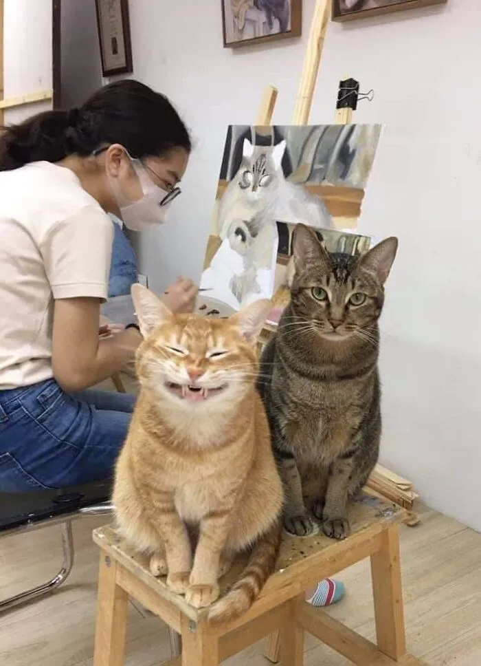 50 "Important Animal Images" To Put A Smile On Your Face (New Pics)