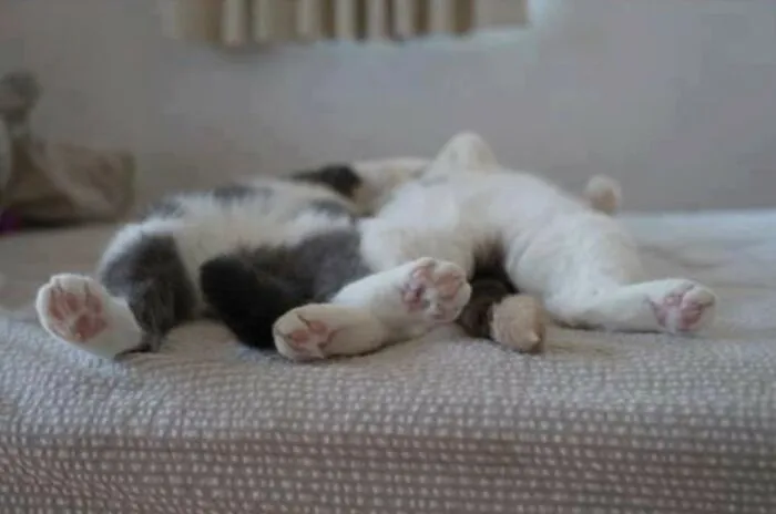 After A Long And Tiring Day