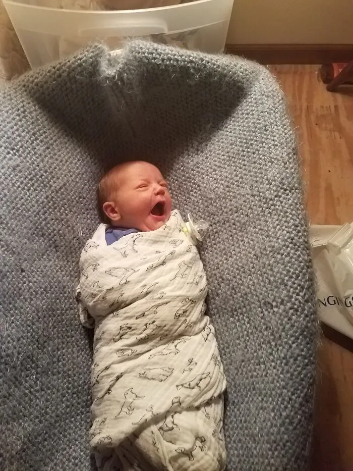 I Put A Fresh Sd Card In Right Before My Son Was Born, So Naturally The First 50 Or So Photos Are Of Him. Also I Knitted That Fuzzy Blanket By Hand While I Was Pregnant. It Took Forever.