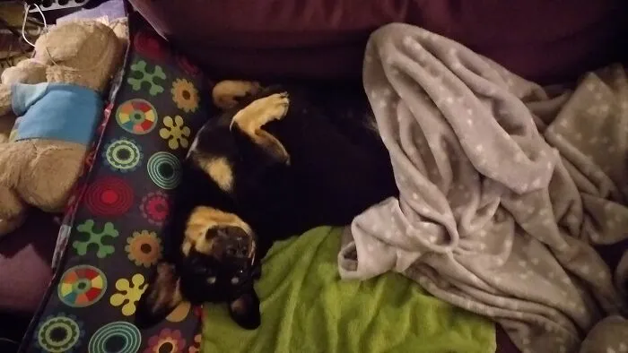 Millie Is A Weirdo